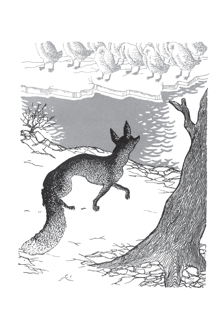 ЧУДЕСНОЕ ПУТЕШЕСТВИЕ НИЛЬСА С ДИКИМИ ГУСЯМИ.ЧБ