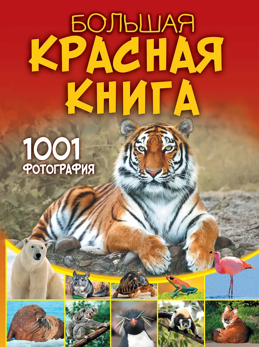 Большая красная книга. 1001 фотография.