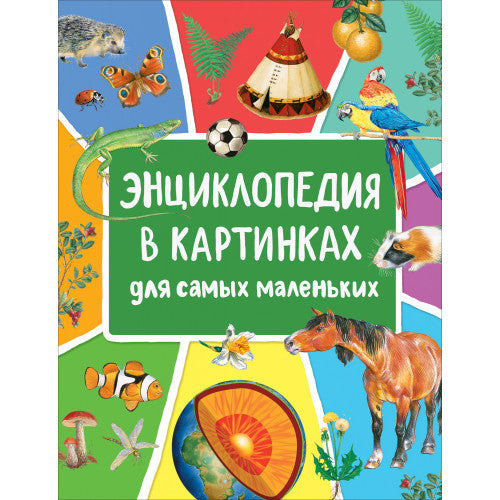 Энциклопедия в картинках для самых маленьких.