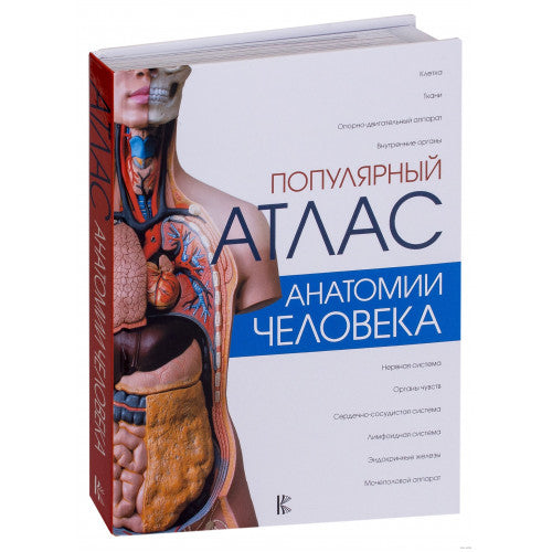 Популярный атлас анатомии человека