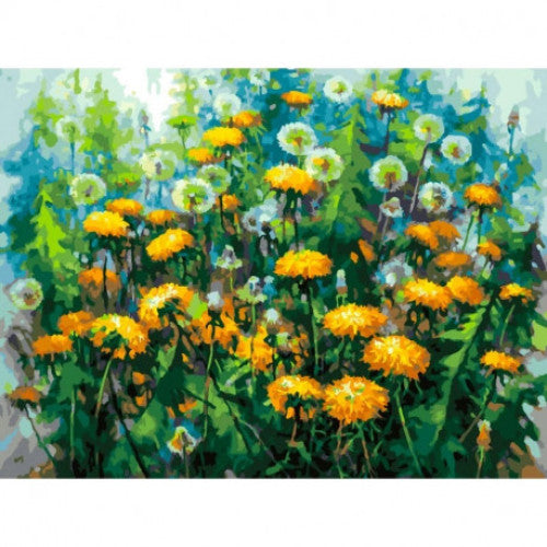 381-AS Начало лета