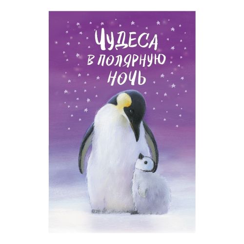 Чудеса в полярную ночь