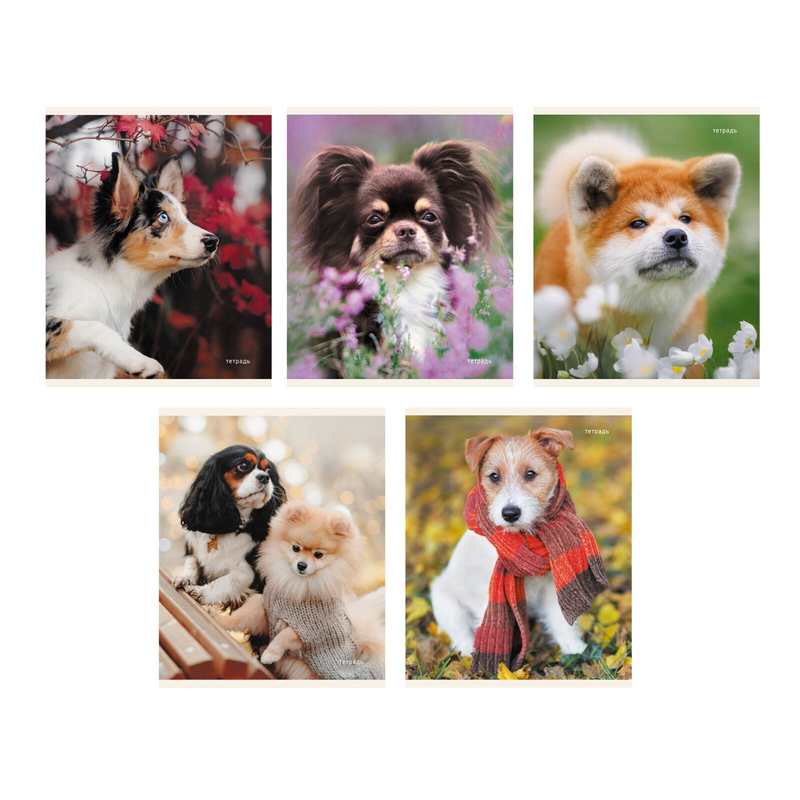 Тетрадь 96л. Клетка.Пушистые друзья