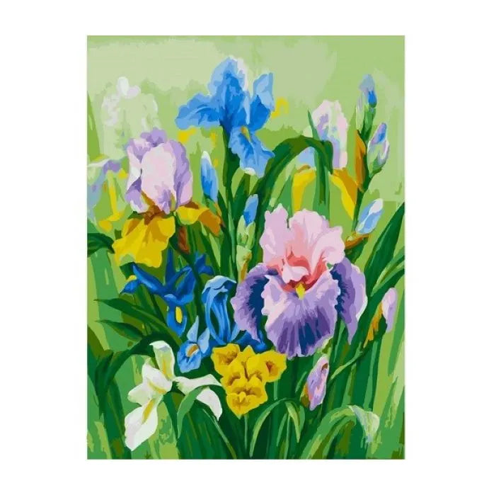 3152-CS Нежные ирисы