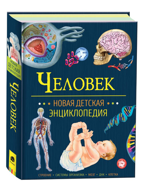 Человек. Новая детская энциклопедия для начальной школы. 1000 фактов для детей