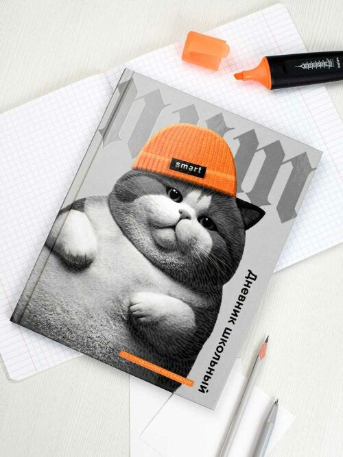 Дневник школьный. КОТ В ШАПОЧКЕ