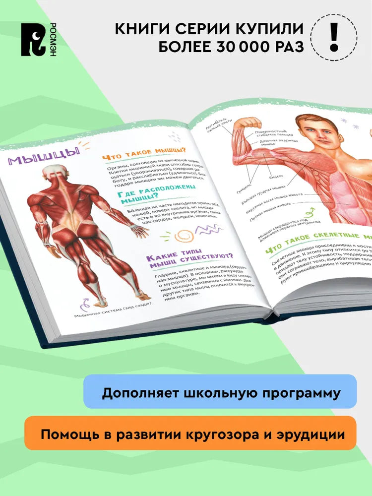 Человек. Новая детская энциклопедия для начальной школы. 1000 фактов для детей