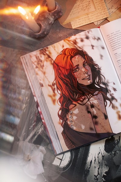 MadnessMalina. Артбук