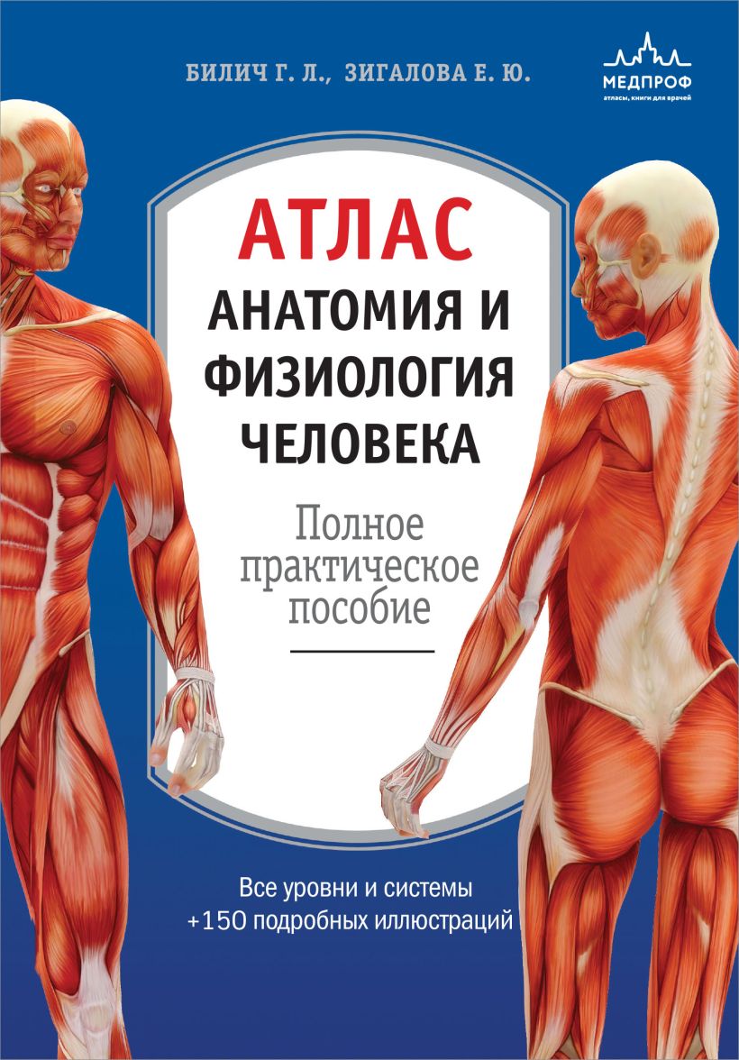 Атлас. Анатомия и физиология человека: полное практическое пособие. 2-е издание, дополненное | Зигалова Елена Юрьевна, Билич Габриэль Лазаревич