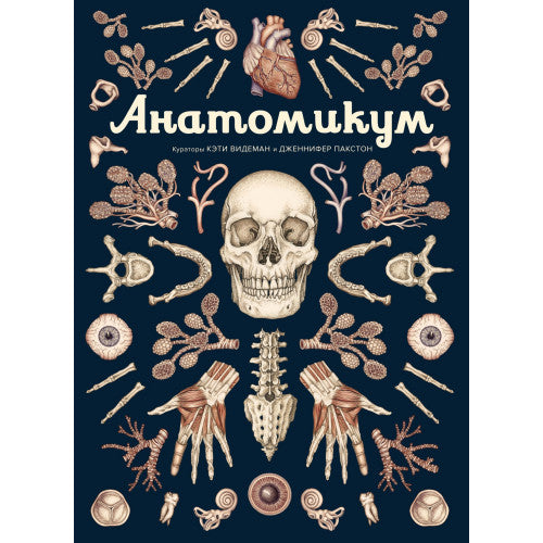 Анатомикум