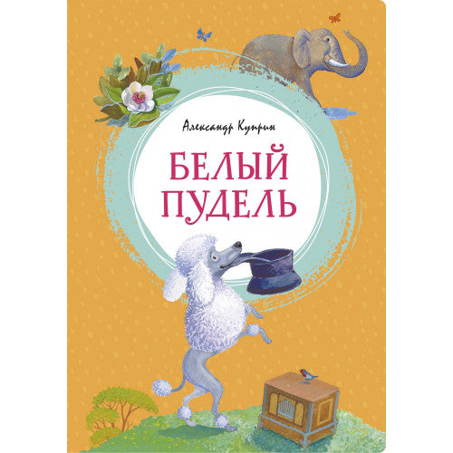 Белый пудель. Яркая ленточка.