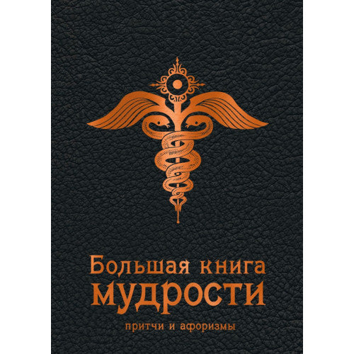 Большая книга мудрости. Притчи и афоризмы