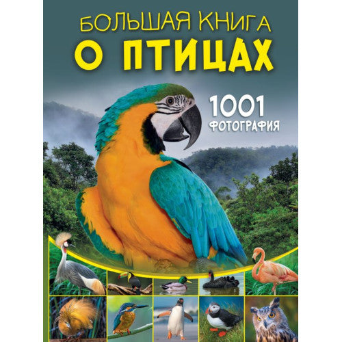 Большая книга о птицах. 1001 фотография