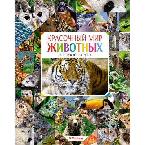 Красочный мир животных. Энциклопедия