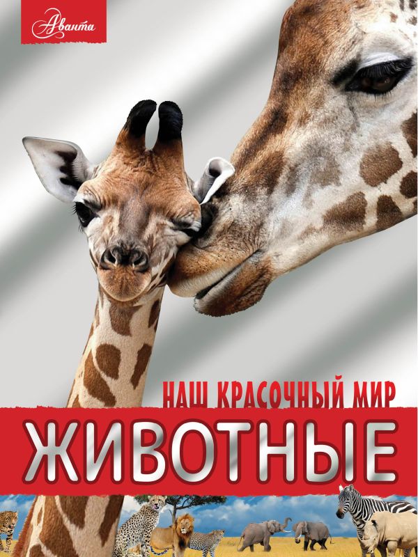 Животные. Наш красочный мир