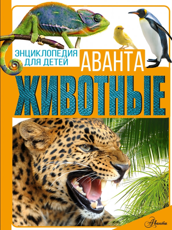 Животные. Энциклопедия для детей