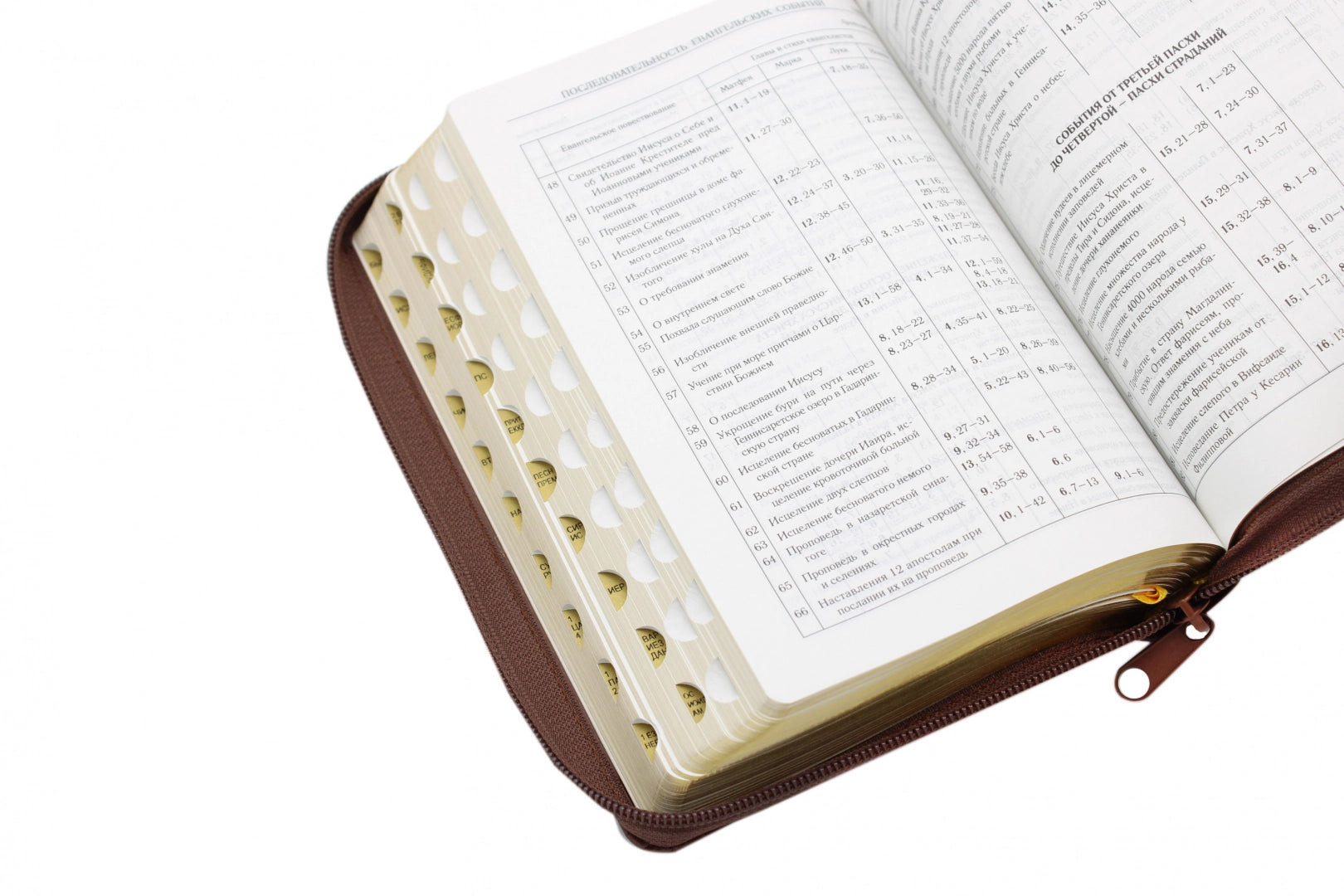 Библия (коричневая кожаная на молнии, золотой обрез)