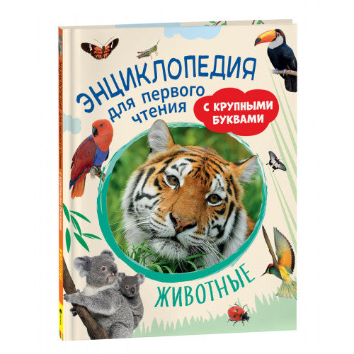 Животные. Энциклопедия для первого чтения с крупными буквами.